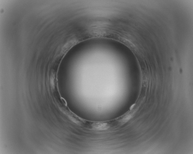 X0000076380334200610161121