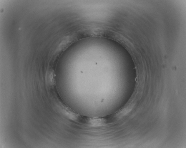 X0000076380336200610161121