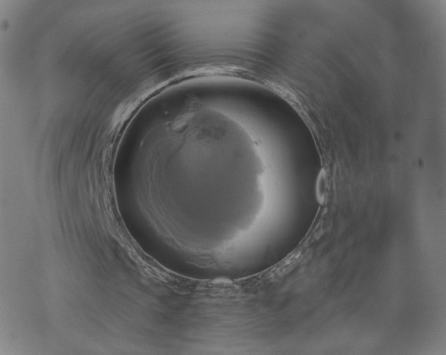 X0000076380337200610161120