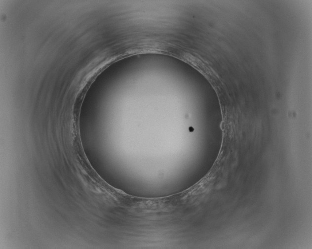 X0000076380338200610161120