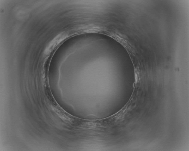 X0000076380339200610161120