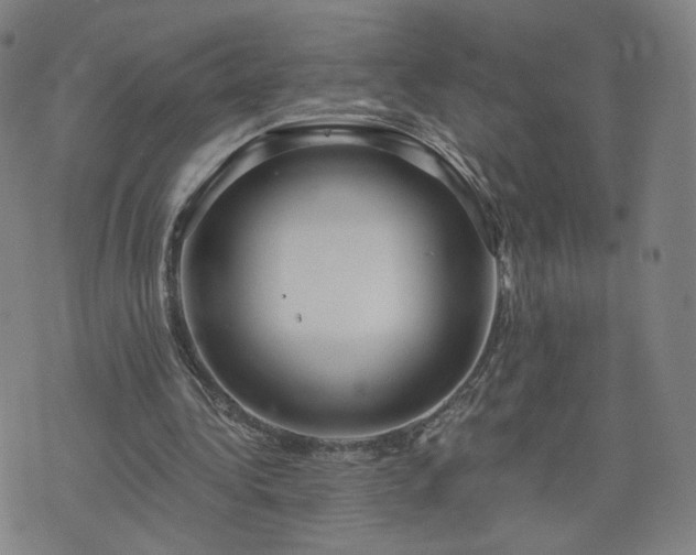 X0000076380340200610161120