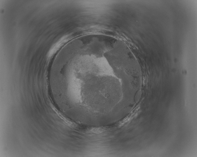 X0000076380341200610161120