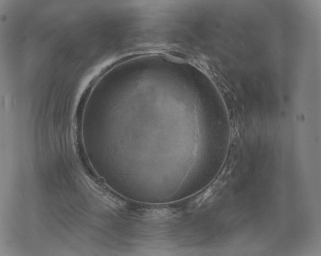 X0000076380342200610161120