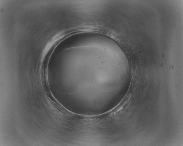 X0000076380343200610161121