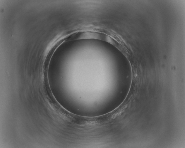 X0000076380344200610161121