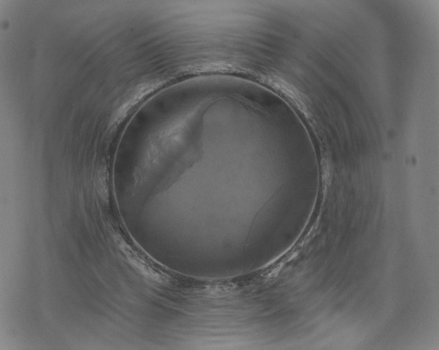 X0000076380345200610161121