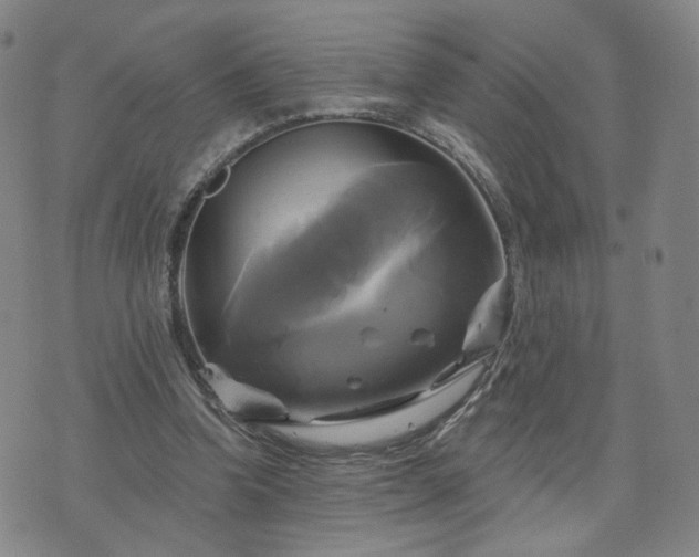 X0000076380346200610161121