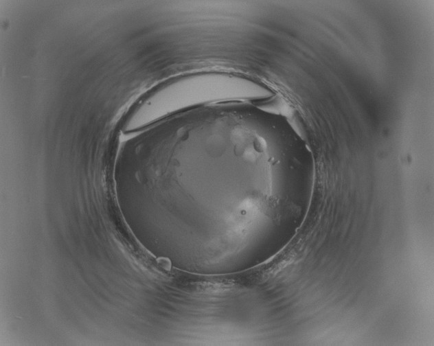 X0000076380347200610161121