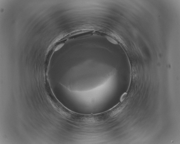 X0000076380349200610161121