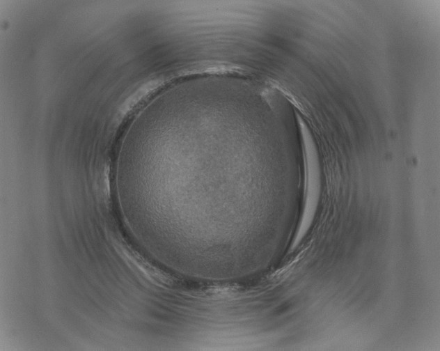 X0000076380350200610161121