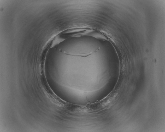 X0000076380351200610161121