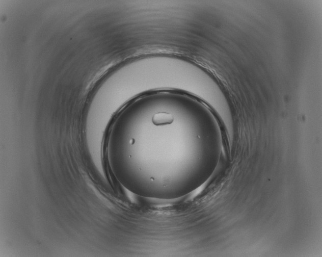 X0000076380352200610161121