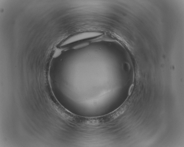 X0000076380353200610161121