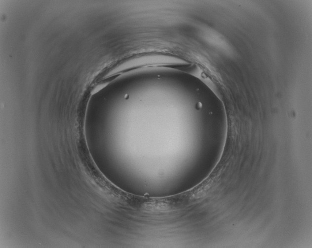 X0000076380354200610161121