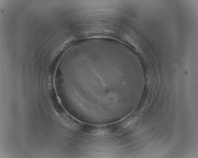 X0000076380356200610161121