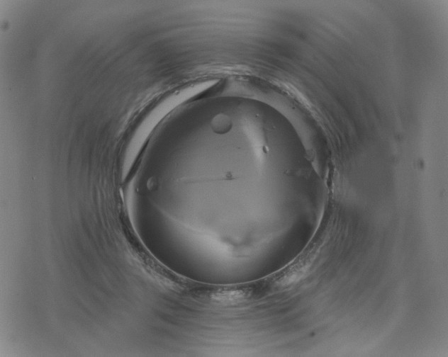 X0000076380357200610161121