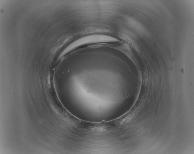 X0000076380358200610161121