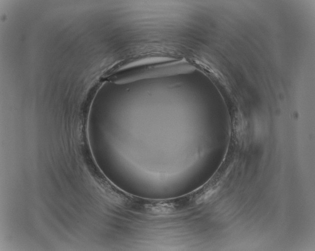 X0000076380359200610161121