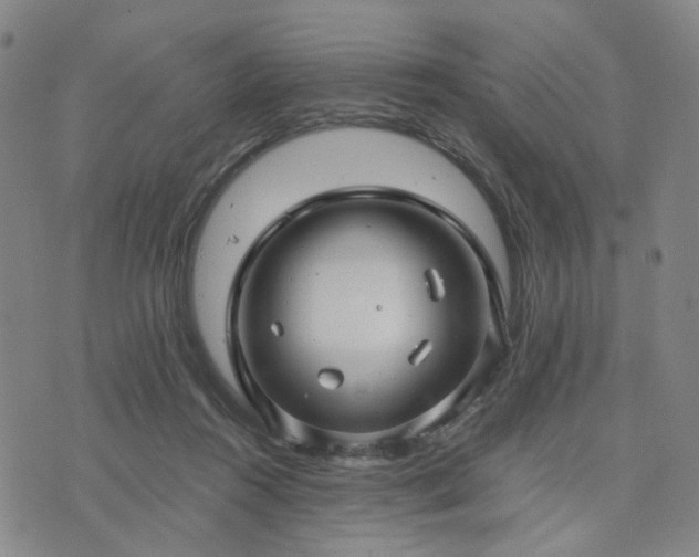 X0000076380360200610161121