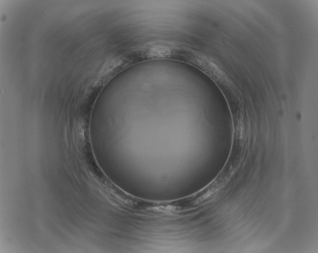 X0000076380363200610161121