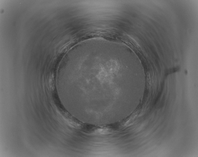 X0000076380364200610161121