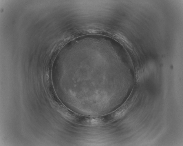 X0000076380365200610161121