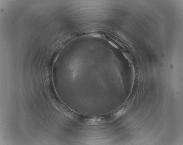 X0000076380366200610161121