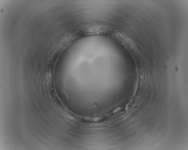 X0000076380369200610161121