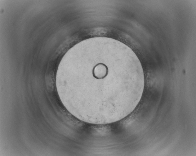 X0000076380370200610161121