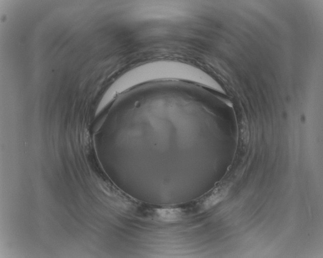 X0000076380371200610161121