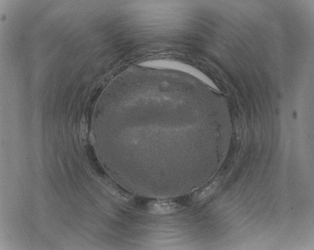 X0000076380372200610161121