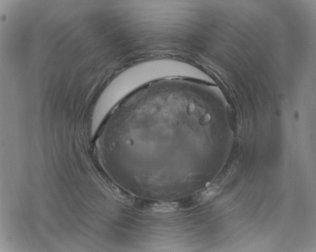 X0000076380373200610161121