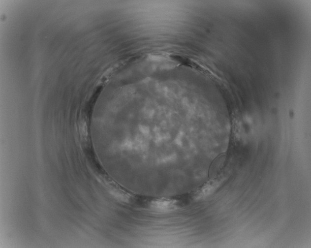 X0000076380375200610161121