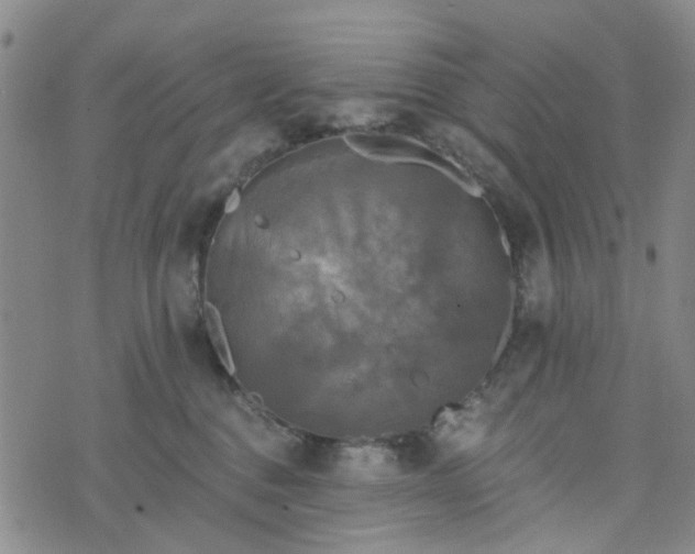 X0000076380376200610161121