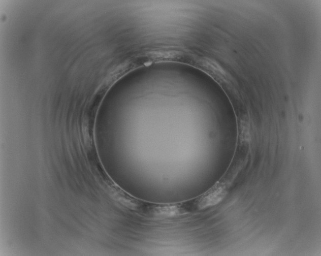 X0000076380377200610161121