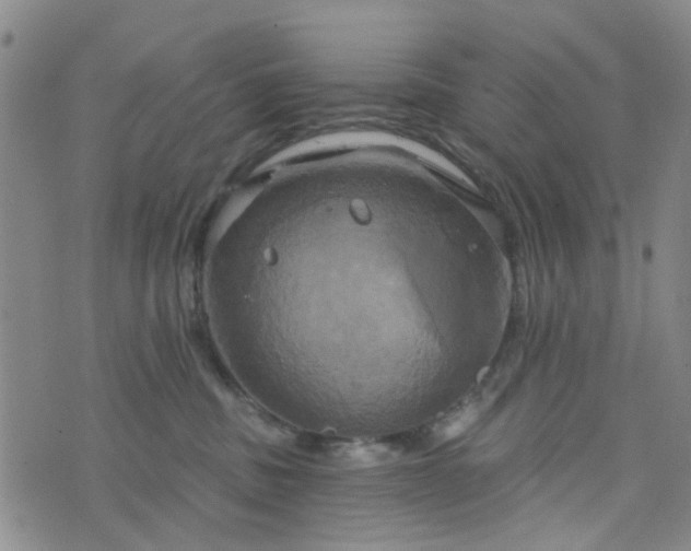 X0000076380379200610161121