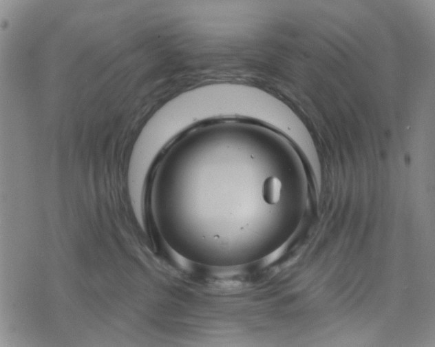 X0000076380380200610161121