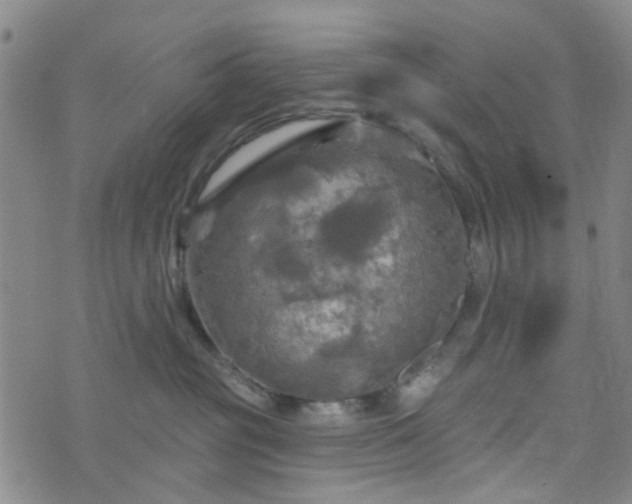 X0000076380381200610161121