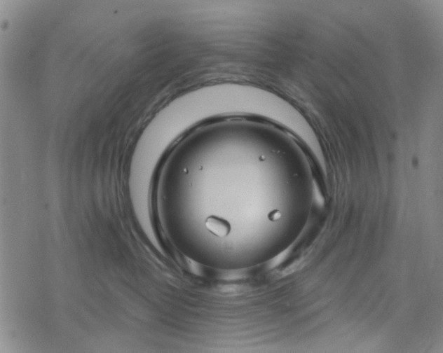 X0000076380382200610161121