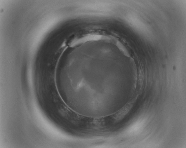 X0000076380383200610161121