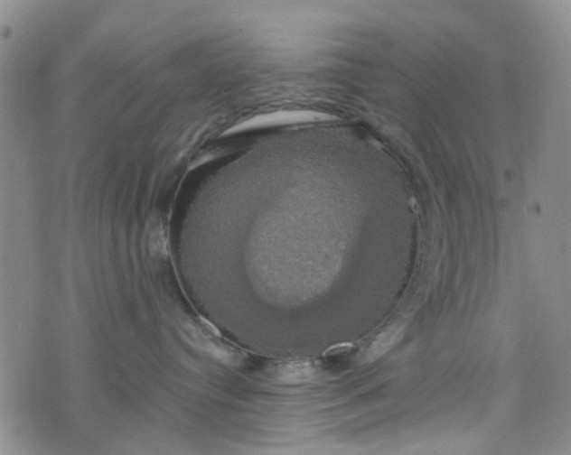 X0000076380384200610161121