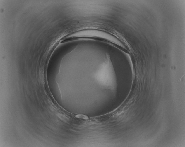 X0000076380386200610161120