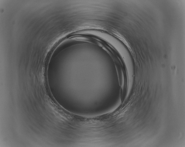 X0000076380387200610161120