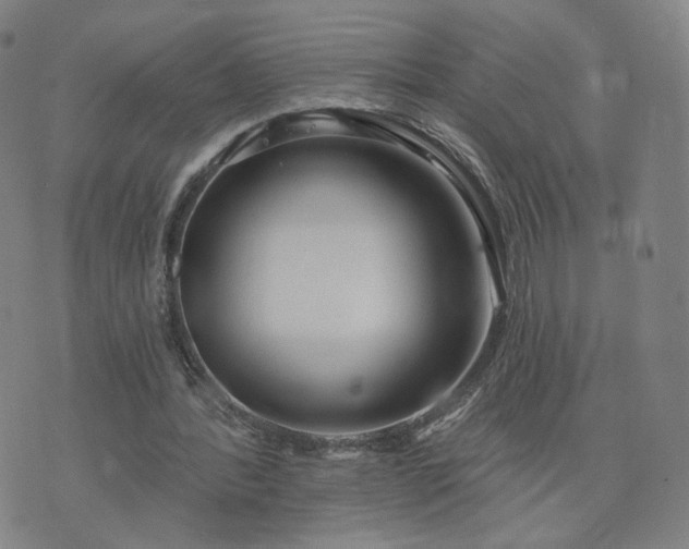 X0000076380388200610161120