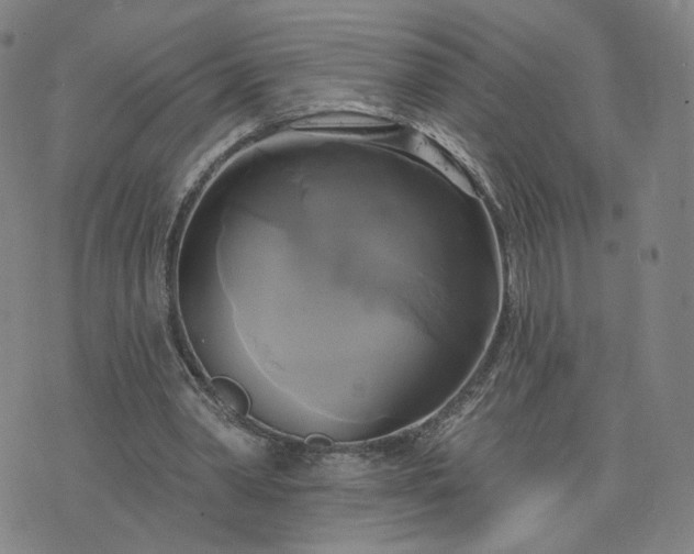 X0000076380390200610161120