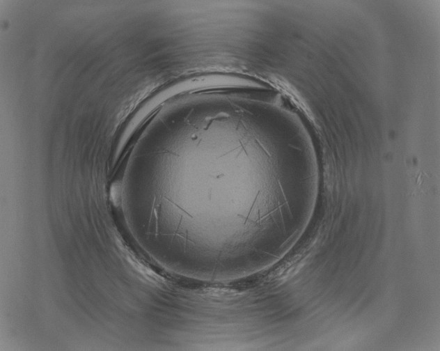 X0000076380393200610161120