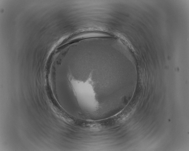 X0000076380395200610161120