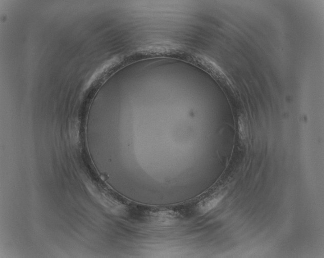 X0000076380396200610161120