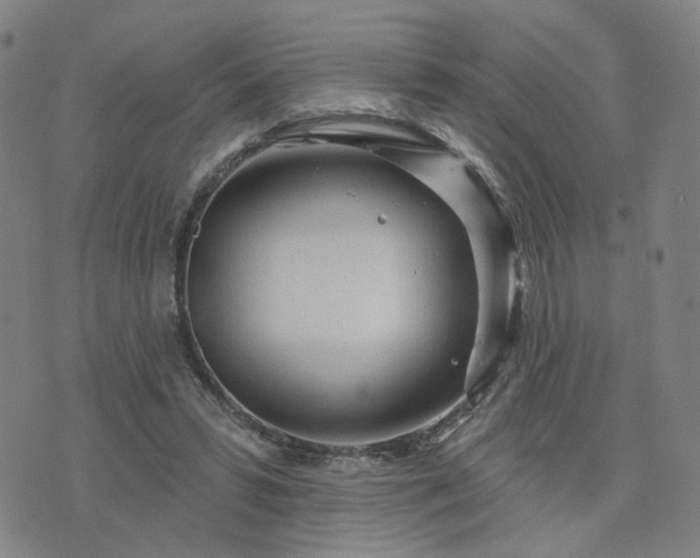 X0000076380399200610161120